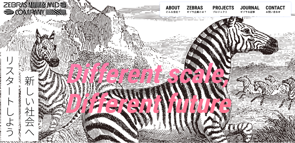 Zebras＆Company
